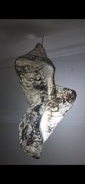 2 Chrysalis