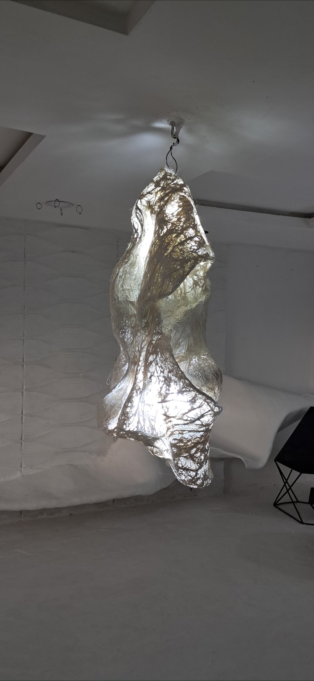 1 Cocooned